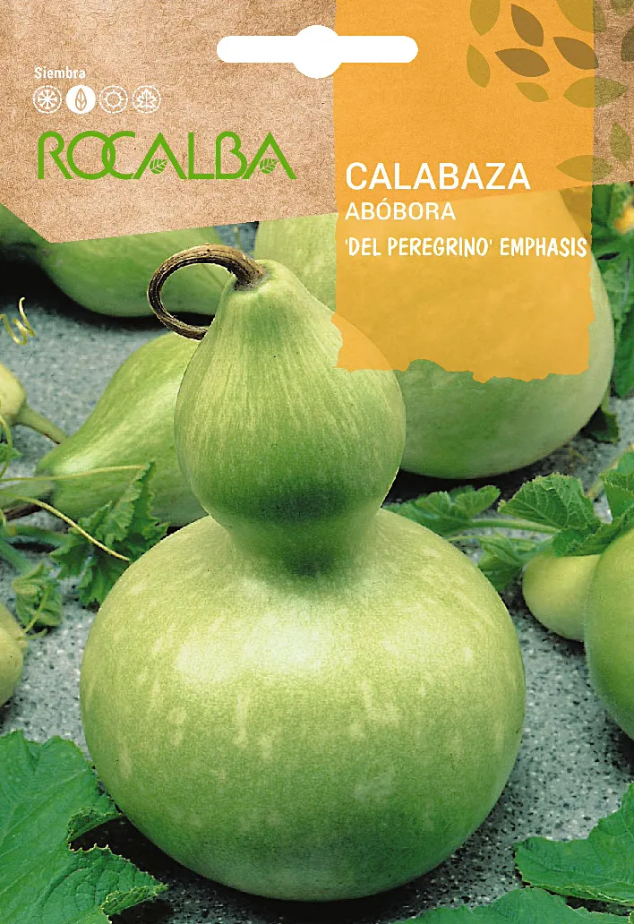 Semilla Calabaza del Peregrino 5 gr