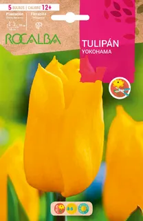 Bulbo Tulipanes 12+ Yokohama Amarillo Puro