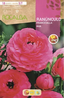 Bulbo Ranunculos 5/7 Rosa