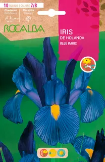 Bulbos Iris Variedad 7/8 Blue Magic -azul Intenso