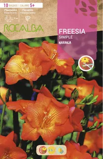 Bulbo Freesias Simples 5+ Naranja