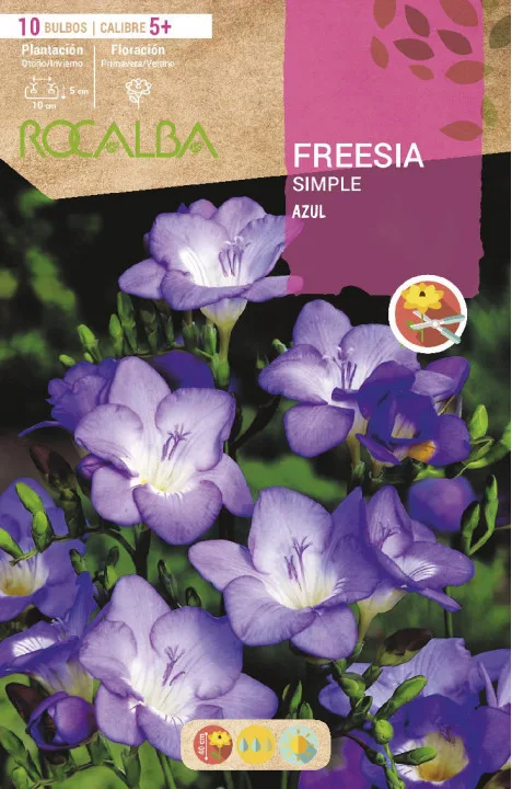 Bulbo Freesias Simples 5+ Azul