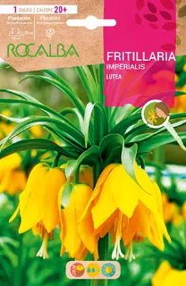 Bulbos Fritilarias Variedad Imperialis Lutea -amarillo
