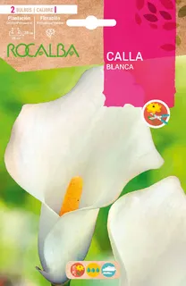 Bulbo Callas Blanco