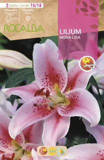 Bulbos Liliums 16/18 Mona Lisa Lila Suave Puntos Rojos