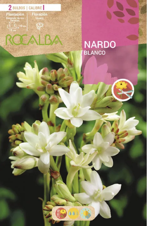 Bulbo Nardos Vara de San Jose Blanco — foto principal