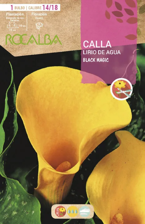 Bulbo Callas 14/18 Black Magic Amarillo — foto principal