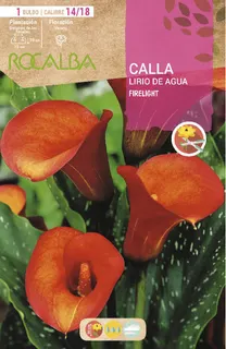 Bulbo Callas 14/18 Firelight Naranja