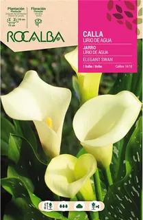 Bulbo Callas 14/18 Elegant Swan Blanco