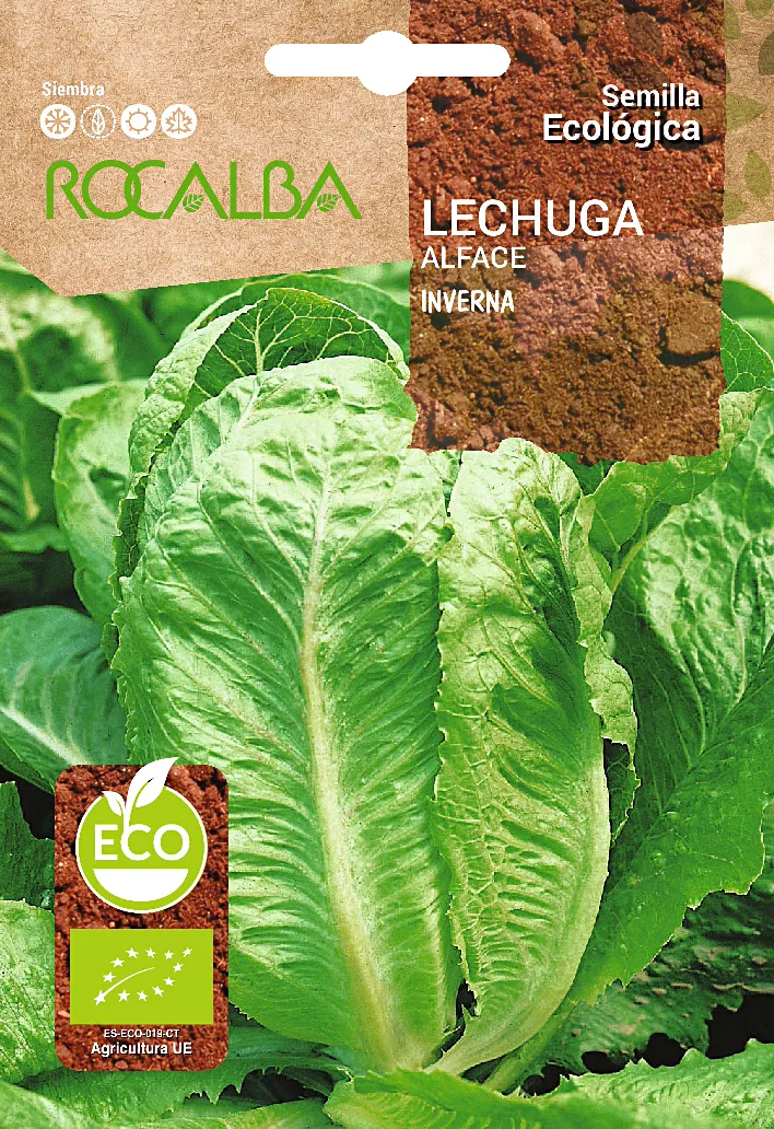 Semilla Ecologica Lechuga Inverna
