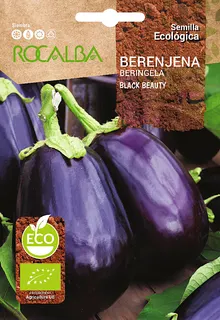 Semilla Ecologica Berenjena Black Beauty
