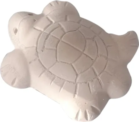 Calcio Tortugas Specipez