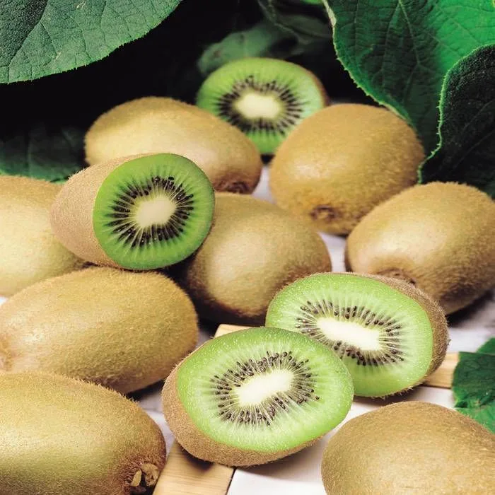 Kiwi Autofertil Planta Jenni — foto 2
