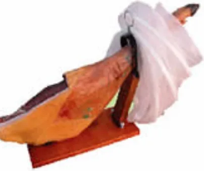 Bolsa Protectora para Jamon Modelo Sjam — foto 3