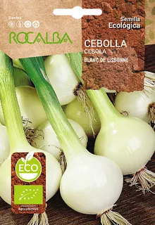 Semilla Ecologica Cebolla Blanc de Lisbone