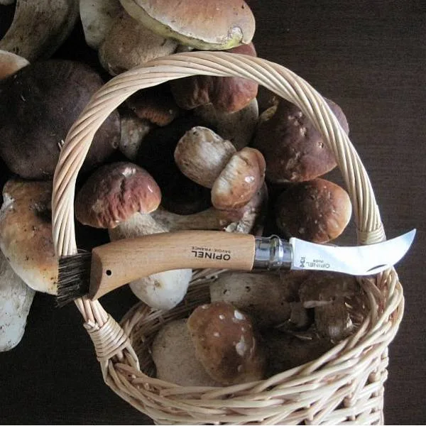 Navaja para Setas Opinel nº 8 — foto 5