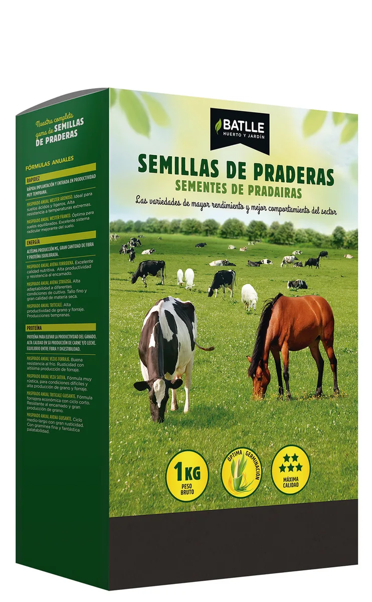 Semilla Ray Grass Ingles 1 kg