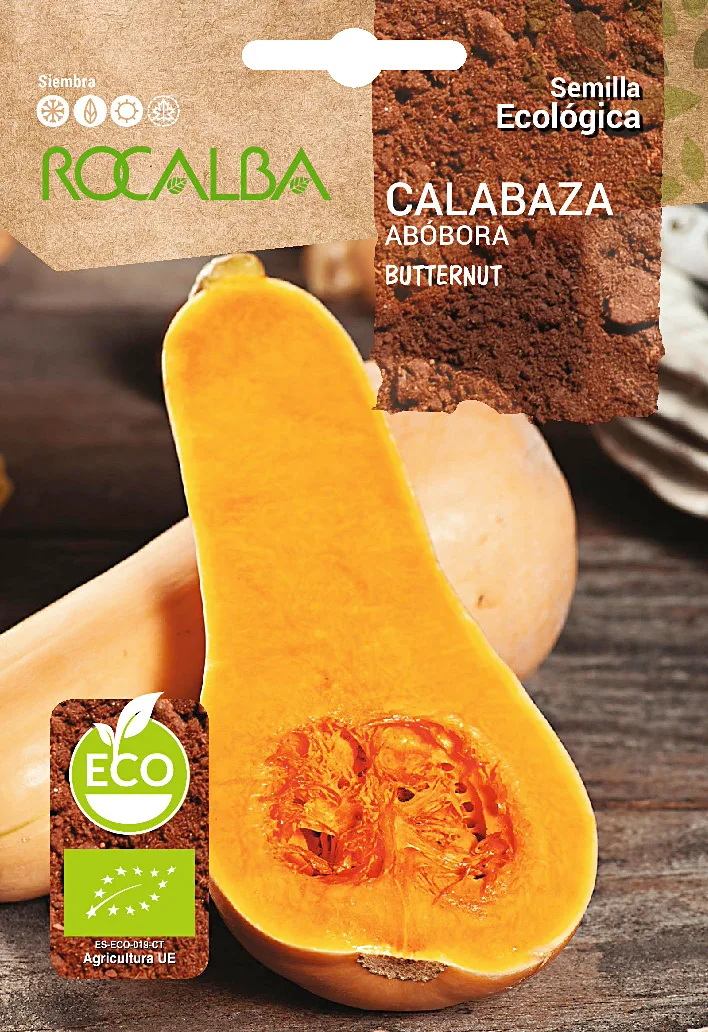 Semilla Ecologica Calabaza Butternut