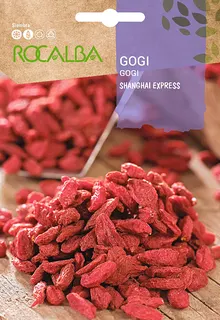 Semilla Gogi Shanghai Express