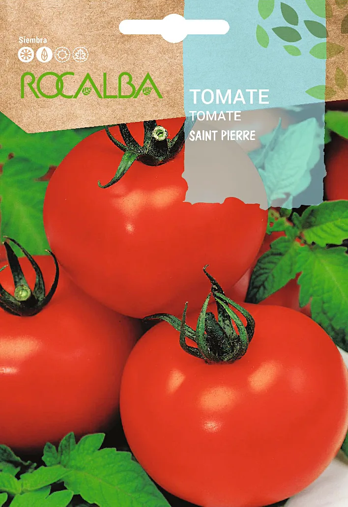 Semila Tomate Saint Pierre — foto principal