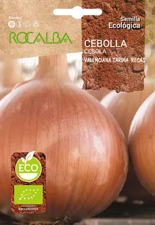 Semilla Ecologica Cebolla Valenciana Tardia "recas"