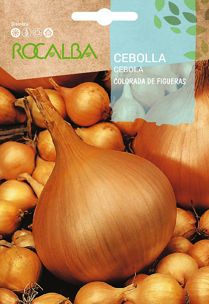 Semilla Cebolla Colorada Figueras