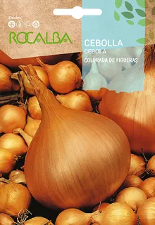 Semilla Cebolla Colorada Figueras