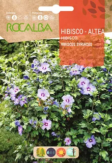Semilla Hibisco Altea -hibiscus Syriacus-