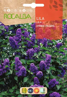 Semilla de Lila - Syringa Vulgaris -