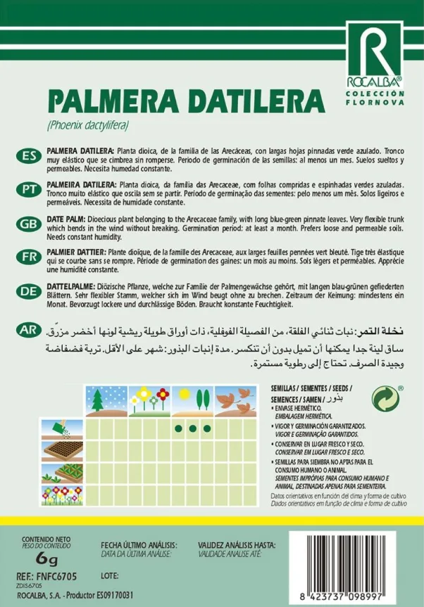 Semilla Palmera Datilera — foto 4