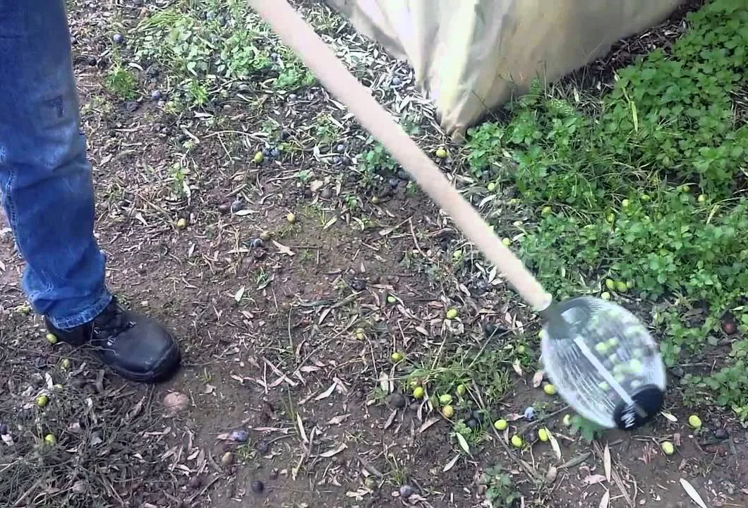Roll-in Recoge Frutas Pequeño — foto 3