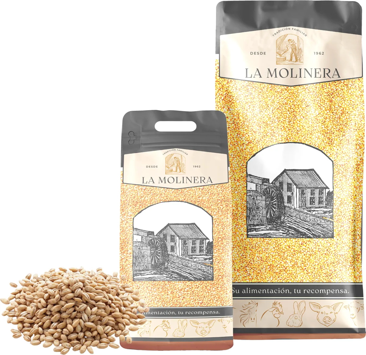 Cebada en Grano