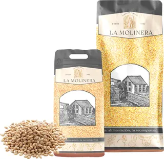 Cebada en Grano