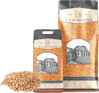 Trigo en Grano
