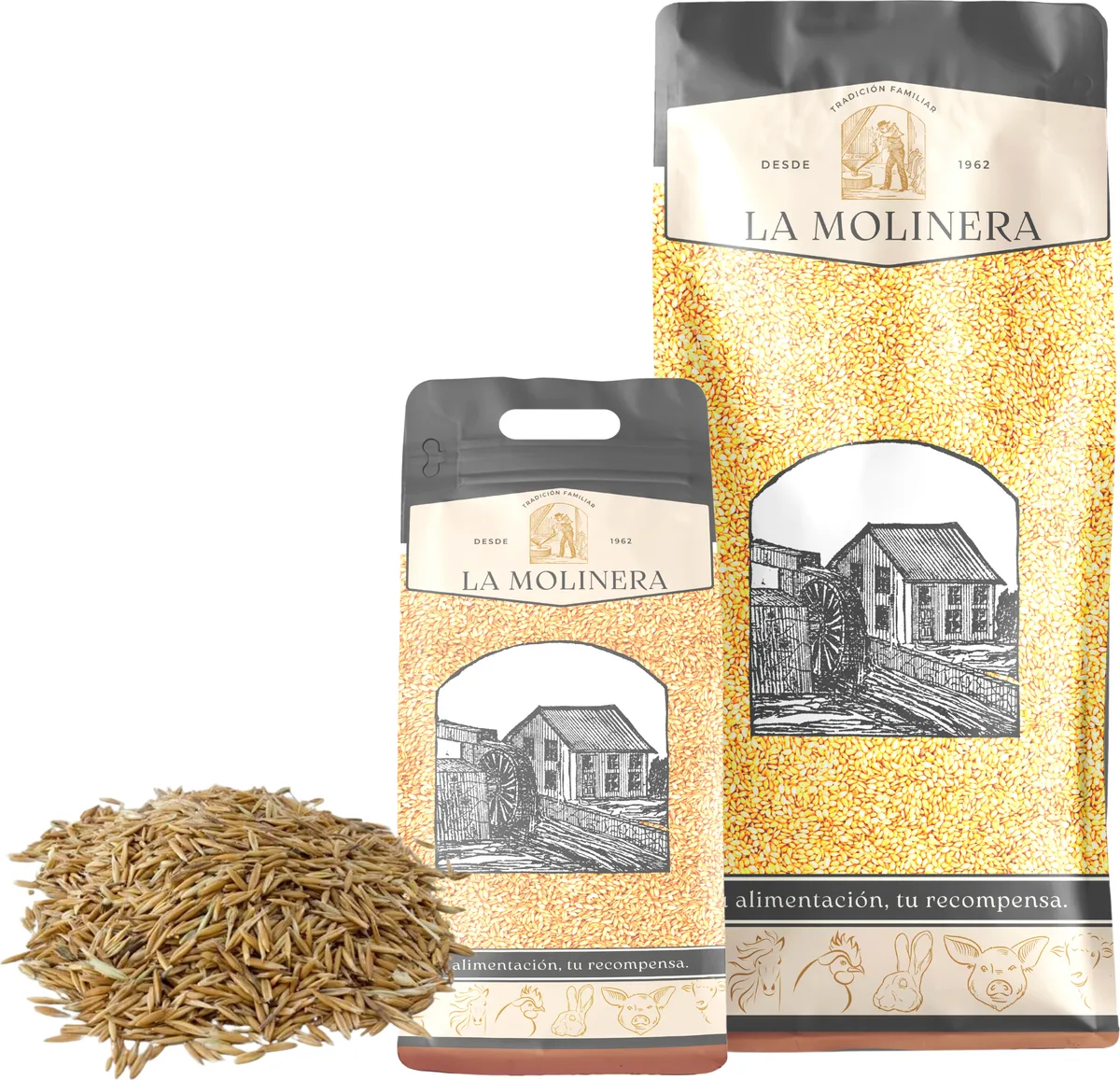 Avena blanca en Grano