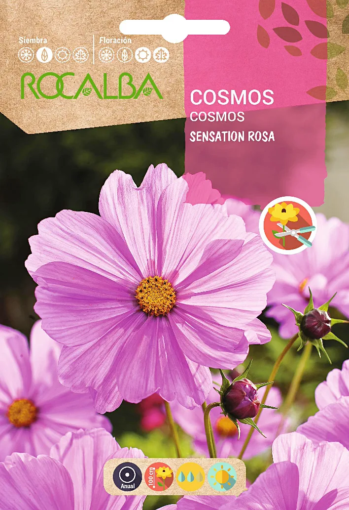 Semilla Cosmos Sensation Rosa — foto principal