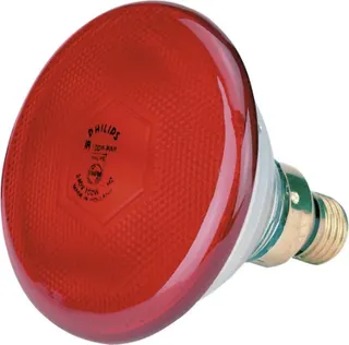 Bombilla Philips Infrarrojos 100w Roja