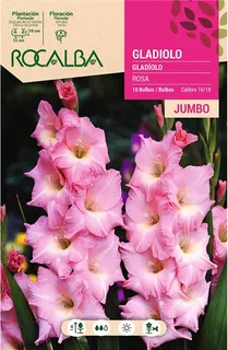 Bulbos Gladiolos Jumbo Rosa
