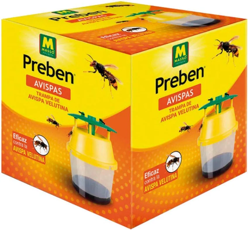 Preben Trampa Avispa Velutina — foto 2