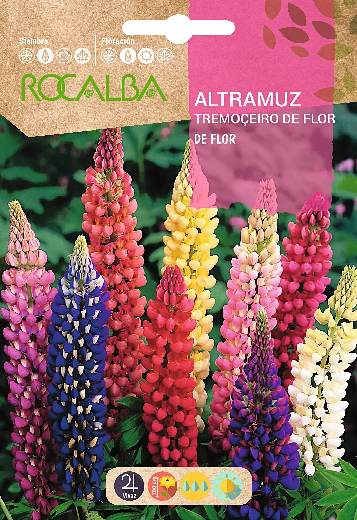 Semilla Altramuz de Flor