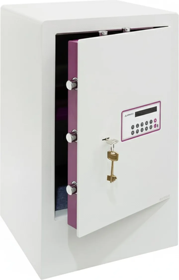 Caja Fuerte Sobreponer Evolution Zocalo 620x385x360