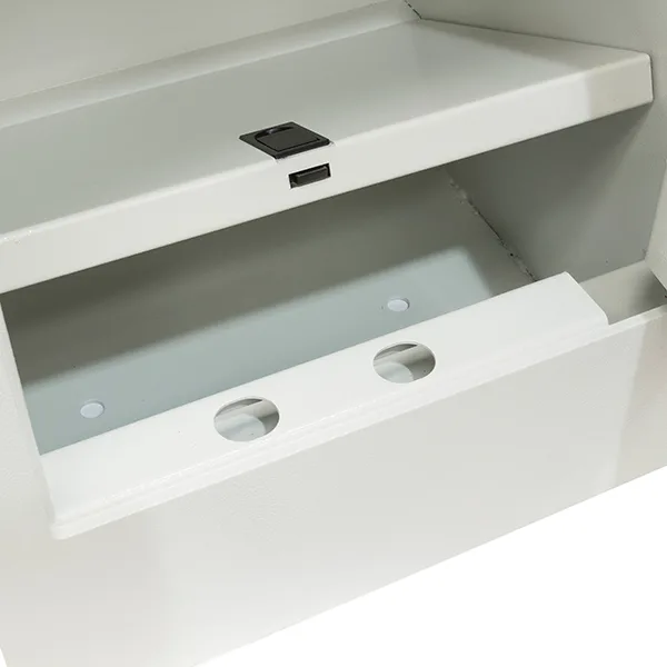 Caja Fuerte Sobreponer Evolution Zocalo 620x385x360 — foto 3