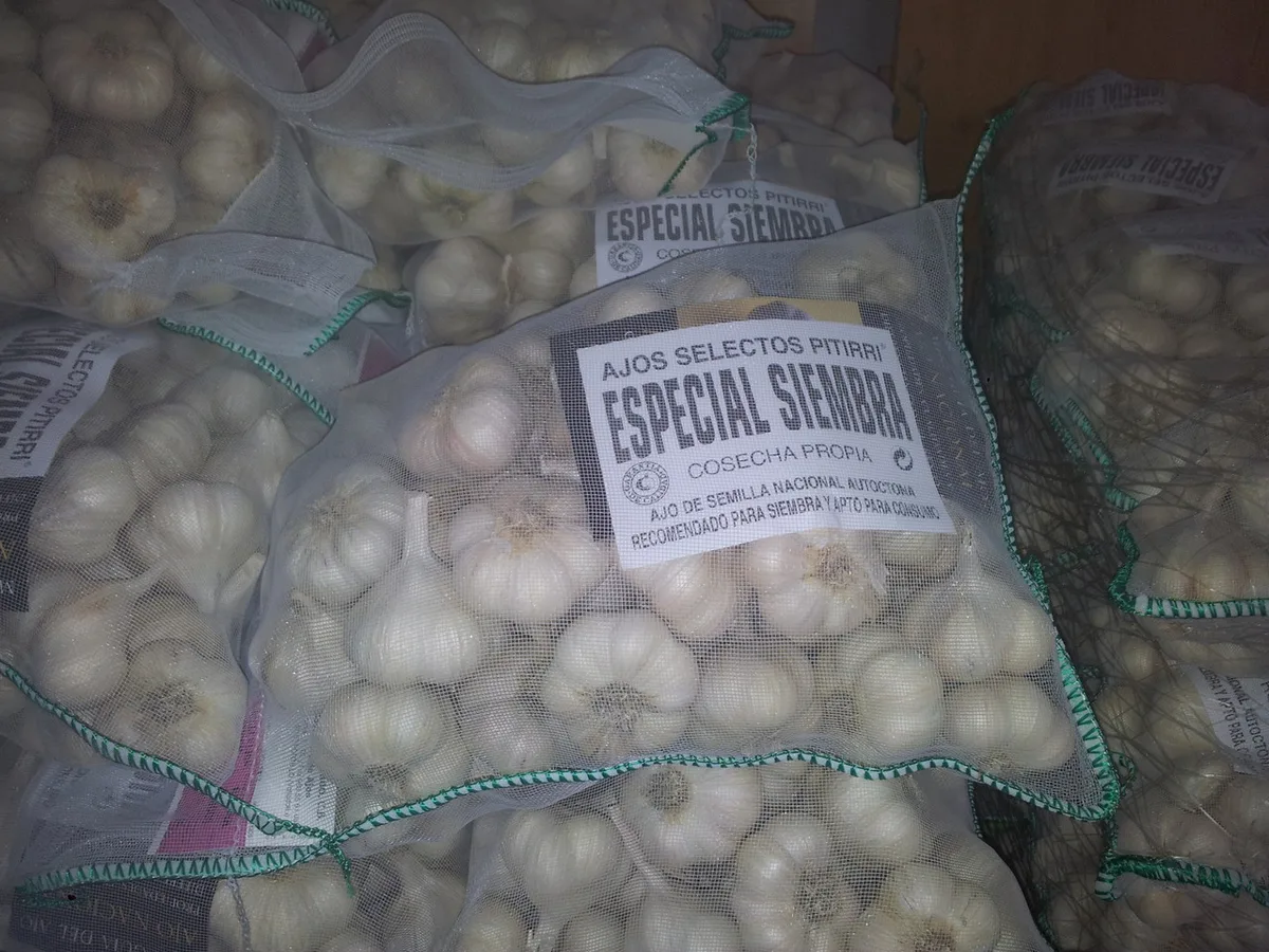 Bolsa Ajo Blanco Pitirri 5 kg — foto 2