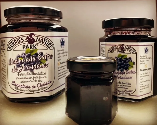 Tarro de Mermelada de Arándanos Ecológicos 230 gr — foto 2