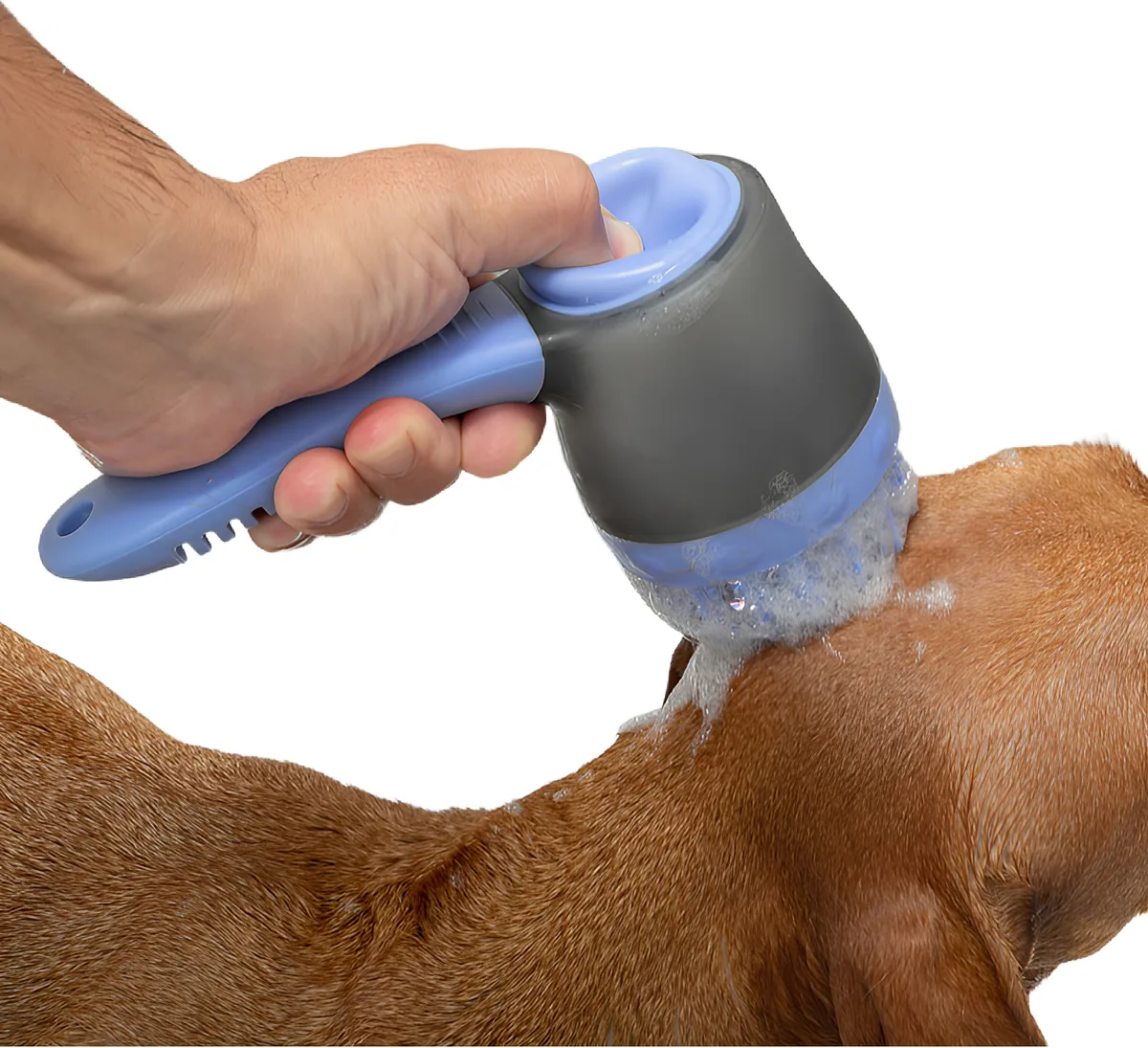 Cepillo Mascotas C/deposito Innovagoods — foto 2