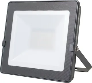 Foco Led Alta Potenc.100w Starline 4000k
