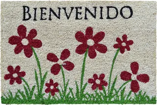 Felpudo Coco Fun Bienvenido 40x60cm.