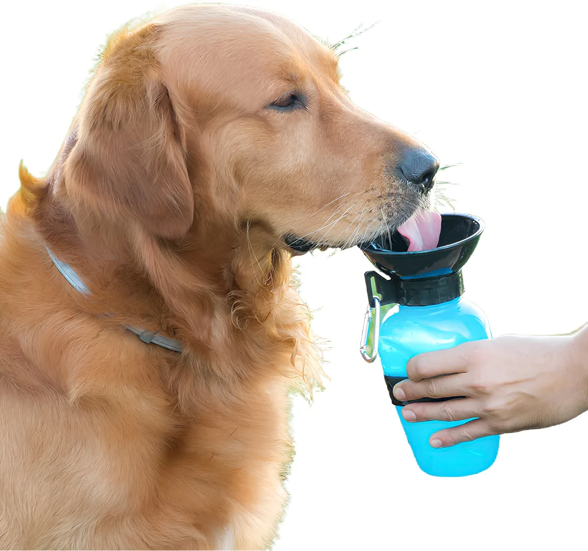 Botella Bebedero Mascotas Innovagoods — foto 2