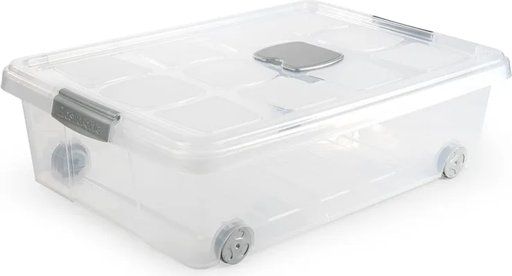 Caja Ordenación Multiusos 62x45x18 cm