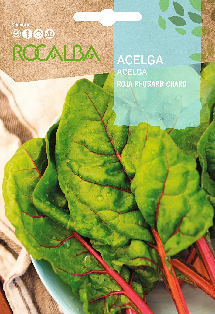 Semilla Acelga Roja Rhubarb Chard